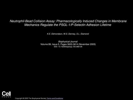 Neutrophil-Bead Collision Assay: Pharmacologically Induced Changes in Membrane Mechanics Regulate the PSGL-1/P-Selectin Adhesion Lifetime  K.E. Edmondson,