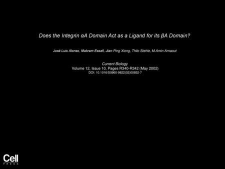 Does the Integrin αA Domain Act as a Ligand for its βA Domain?