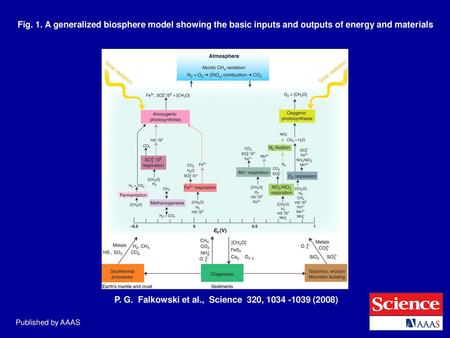 P. G. Falkowski et al., Science 320, (2008)