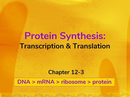 Protein Synthesis: Transcription & Translation