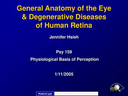 General Anatomy of the Eye & Degenerative Diseases of Human Retina