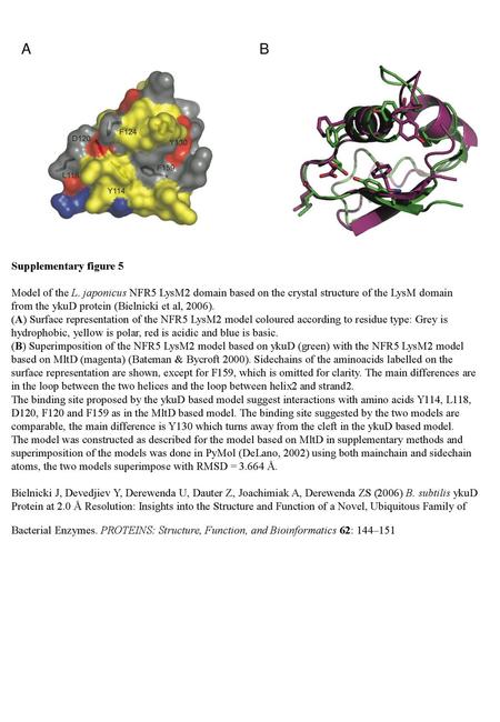 A B Supplementary figure 5