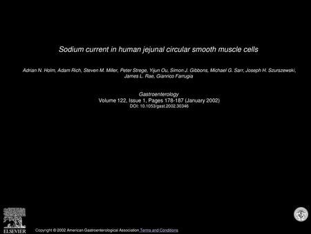 Sodium current in human jejunal circular smooth muscle cells