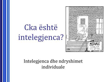 Cka është intelegjenca?