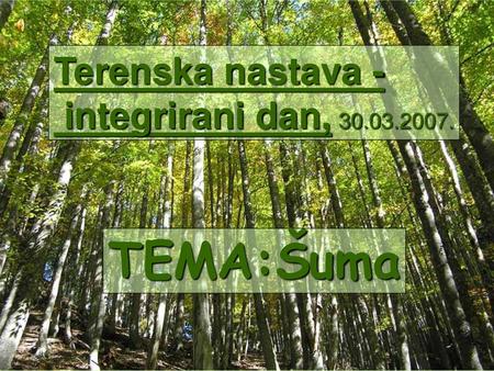 Terenska nastava - integrirani dan, 30.03.2007. TEMA:Šuma.