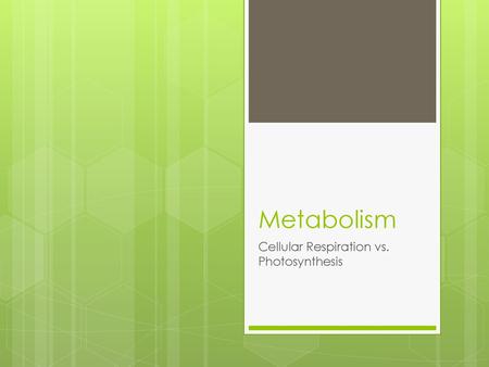 Cellular Respiration vs. Photosynthesis