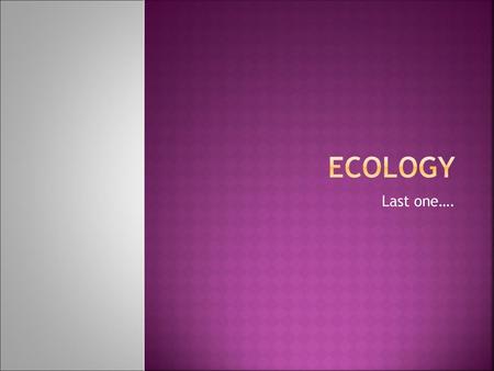 Ecology Last one…..