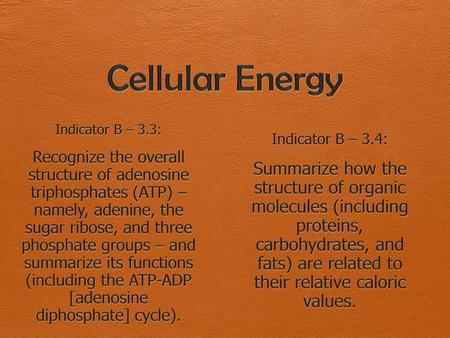 Cellular Energy Indicator B – 3.3: