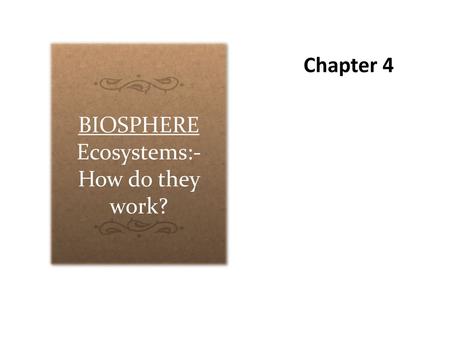 Ecosystems:-How do they work?