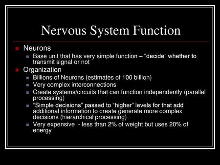 Nervous System Function