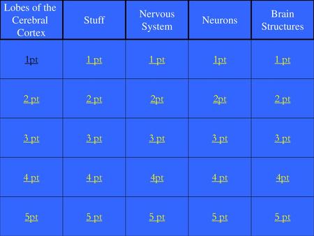 Lobes of the Cerebral Cortex Stuff Nervous System Neurons Brain