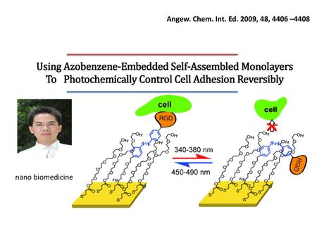 Angew. Chem. Int. Ed. 2009, 48, 4406 –4408 Using Azobenzene-Embedded Self-Assembled Monolayers To　Photochemically Control Cell Adhesion Reversibly nano.