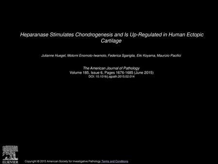 Heparanase Stimulates Chondrogenesis and Is Up-Regulated in Human Ectopic Cartilage  Julianne Huegel, Motomi Enomoto-Iwamoto, Federica Sgariglia, Eiki.