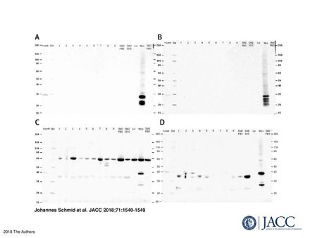 Johannes Schmid et al. JACC 2018;71: