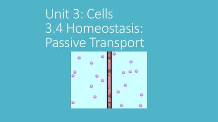 Unit 3: Cells 3.4 Homeostasis: Passive Transport