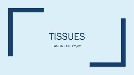 Tissues Lab Bio – Cell Project.