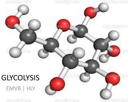 GLYCOLYSIS EMVB | HLY.