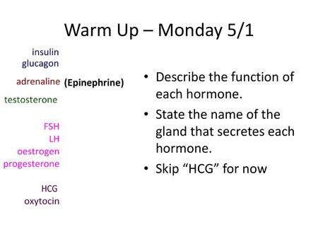 Warm Up – Monday 5/1 Describe the function of each hormone.