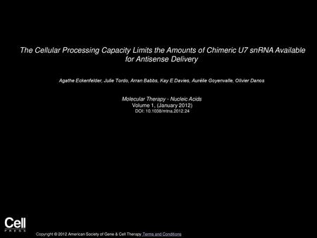 Molecular Therapy - Nucleic Acids