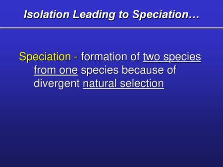 Isolation Leading to Speciation…