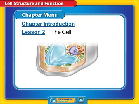 Chapter Menu Chapter Introduction Lesson 2Lesson 2The Cell.