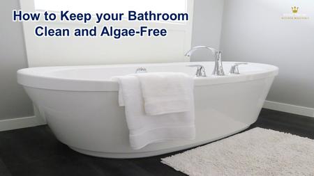 How to Keep your Bathroom Clean and Algae Free
