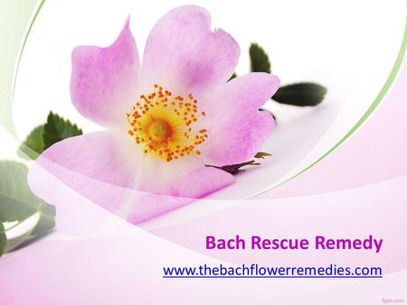 Bach Rescue Remedy - www.thebachflowerremedies.com