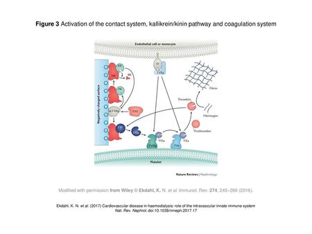 Nat. Rev. Nephrol. doi: /nrneph