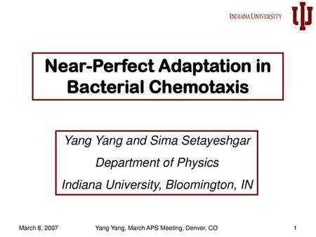 Near-Perfect Adaptation in Bacterial Chemotaxis