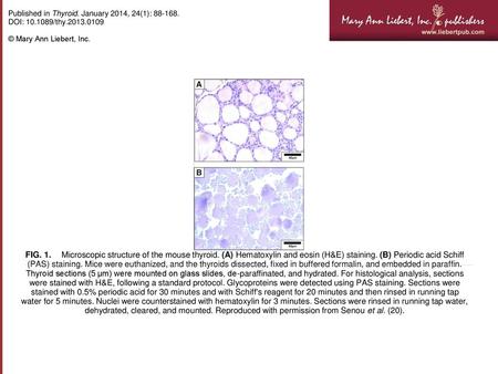 Published in Thyroid. January 2014, 24(1): DOI: /thy