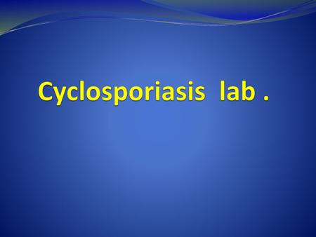 Cyclosporiasis lab ..