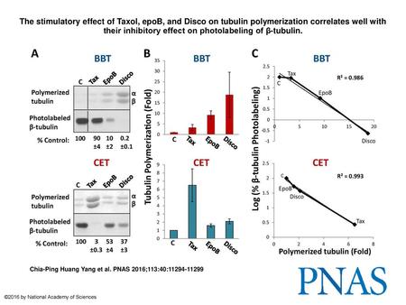 The stimulatory effect of Taxol, epoB, and Disco on tubulin polymerization correlates well with their inhibitory effect on photolabeling of β-tubulin.