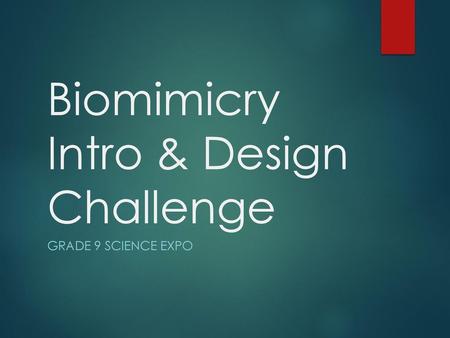 Biomimicry Intro & Design Challenge