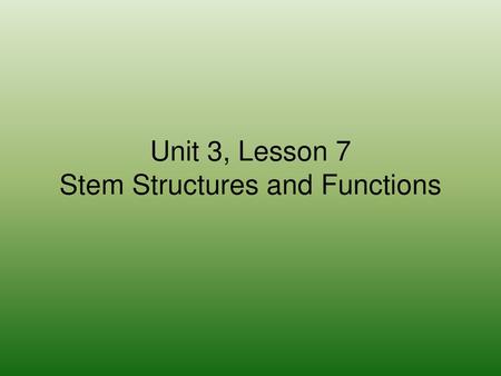 Unit 3, Lesson 7 Stem Structures and Functions