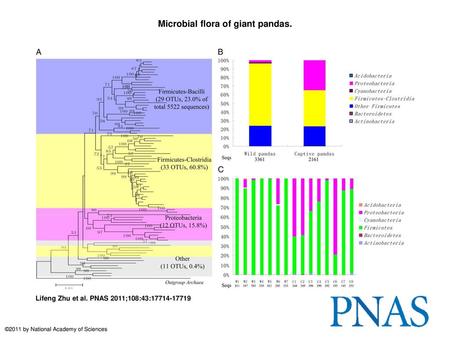 Microbial flora of giant pandas.