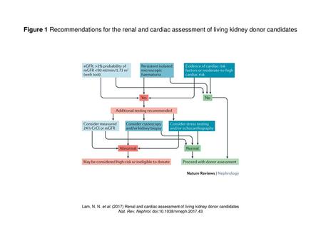 Nat. Rev. Nephrol. doi: /nrneph