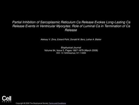 Partial Inhibition of Sarcoplasmic Reticulum Ca Release Evokes Long-Lasting Ca Release Events in Ventricular Myocytes: Role of Luminal Ca in Termination.