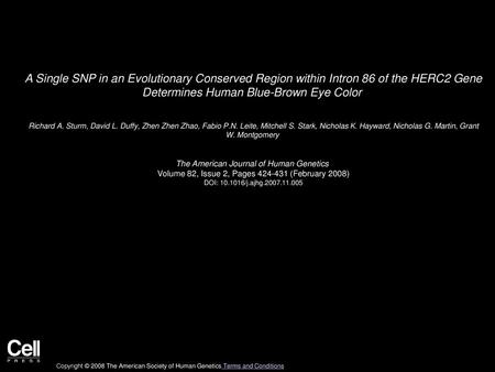 A Single SNP in an Evolutionary Conserved Region within Intron 86 of the HERC2 Gene Determines Human Blue-Brown Eye Color  Richard A. Sturm, David L.