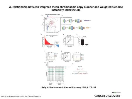 A, relationship between weighted mean chromosome copy number and weighted Genome Instability Index (wGII). A, relationship between weighted mean chromosome.