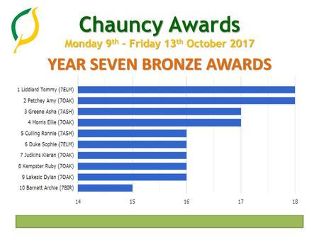 YEAR SEVEN BRONZE AWARDS