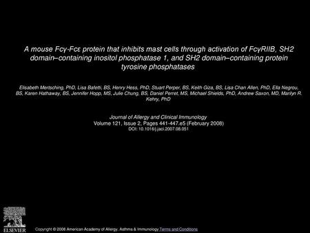 A mouse Fcγ-Fcε protein that inhibits mast cells through activation of FcγRIIB, SH2 domain–containing inositol phosphatase 1, and SH2 domain–containing.