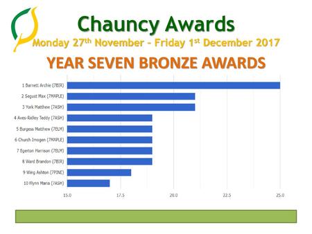 YEAR SEVEN BRONZE AWARDS