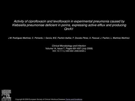 Activity of ciprofloxacin and levofloxacin in experimental pneumonia caused by Klebsiella pneumoniae deficient in porins, expressing active efflux and.