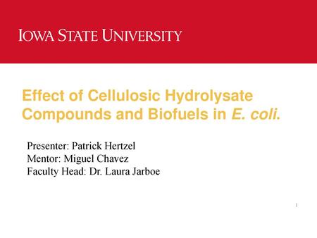 Effect of Cellulosic Hydrolysate Compounds and Biofuels in E. coli.