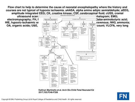 Flow chart to help to determine the cause of neonatal encephalopathy where the history and courses are not typical of hypoxia ischaemia. aAASA, alpha amino.