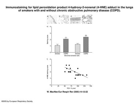 Immunostaining for lipid peroxidation product 4-hydroxy-2-nonenal (4-HNE) adduct in the lungs of smokers with and without chronic obstructive pulmonary.