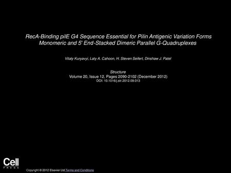 RecA-Binding pilE G4 Sequence Essential for Pilin Antigenic Variation Forms Monomeric and 5′ End-Stacked Dimeric Parallel G-Quadruplexes  Vitaly Kuryavyi,