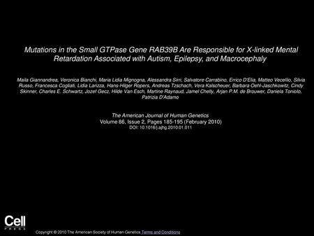 Mutations in the Small GTPase Gene RAB39B Are Responsible for X-linked Mental Retardation Associated with Autism, Epilepsy, and Macrocephaly  Maila Giannandrea,