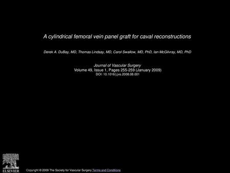 A cylindrical femoral vein panel graft for caval reconstructions