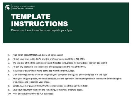 TEMPLATE INSTRUCTIONS